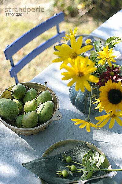 Schale mit Birnen und Vase mit blühenden Blumen auf herbstlich geschmücktem Tisch