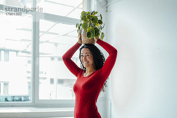 Glückliche Frau trägt Zimmerpflanze auf dem Kopf am Fenster