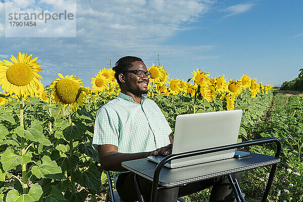 Glücklicher junger Geschäftsmann mit Laptop im Sonnenblumenfeld