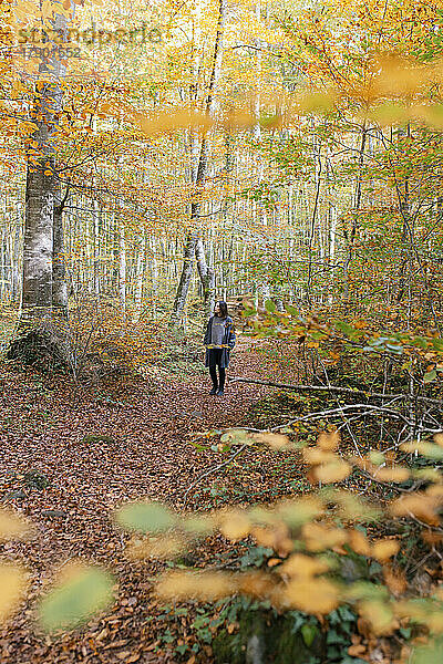 Frau steht im Nationalpark Fageda D'en Jorda  Olot  Girona  Spanien