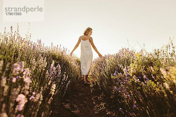 Frau geht zwischen Blumen im Lavendelfeld