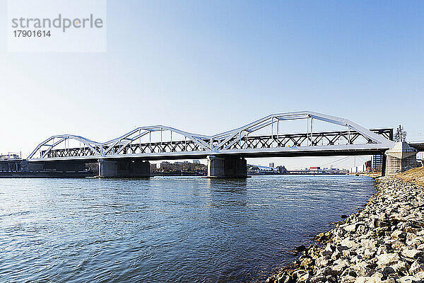 Deutschland  Baden-Württemberg  Mannheim  Konrad-Adenauer-Brücke über den Rhein