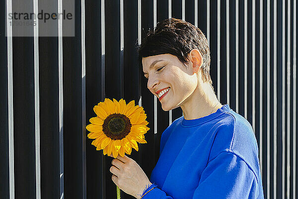 Glückliche Frau hält an einem sonnigen Tag eine Sonnenblume an einer gestreiften Wand