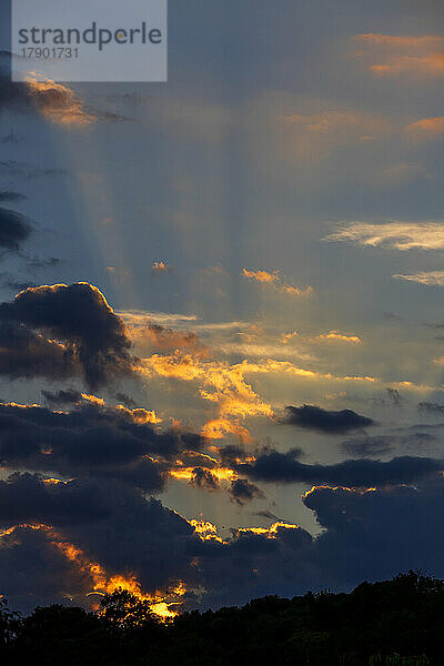 Wolken  beleuchtet von der untergehenden Sonne