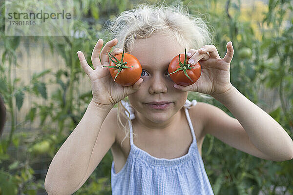 Mädchen hält Tomaten im Garten vor Augen