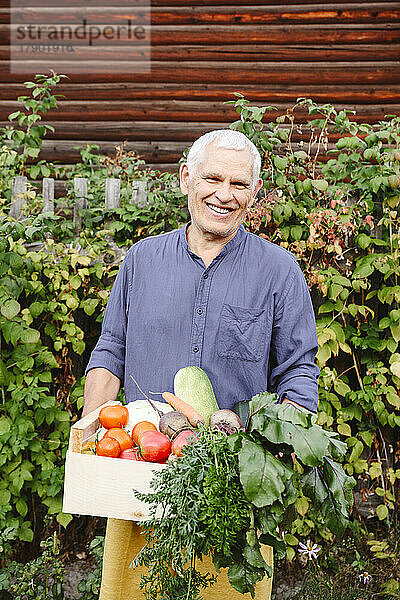 Glücklicher älterer Mann trägt Gemüsekiste im Garten