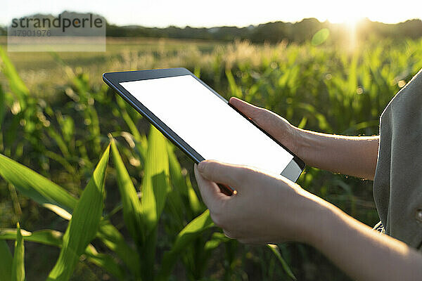 Nahaufnahme einer Frau mit digitalem Tablet im Feld