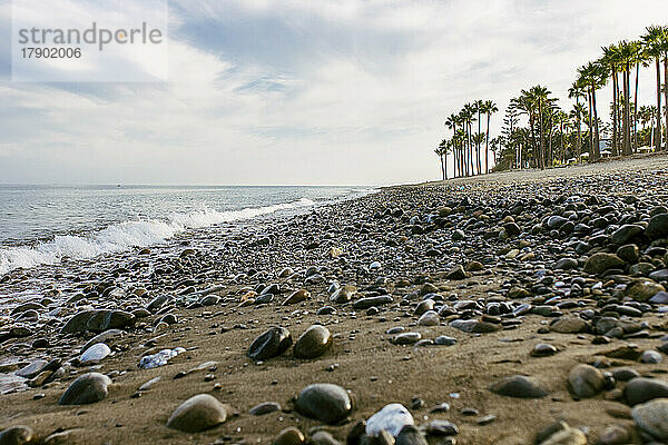 Strandlandschaft mit Palmen und Steinen