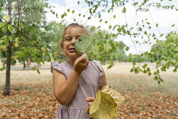 Playful girl looking through leaf hole at park