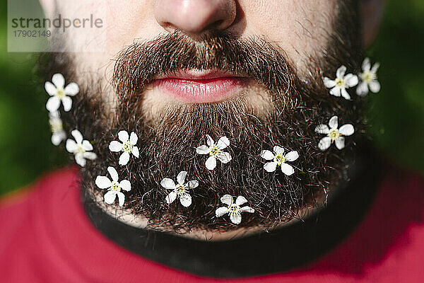 Kleine weiße Blumen auf dem Bart des Mannes