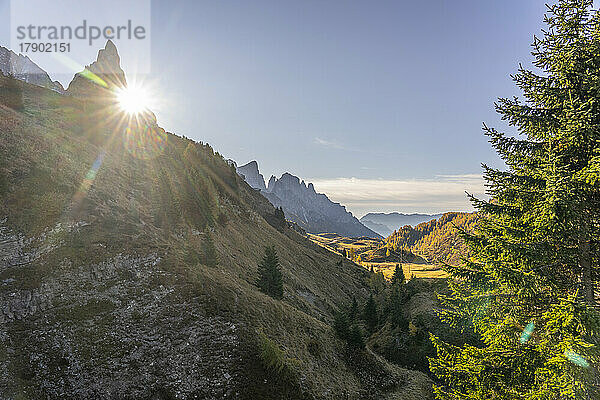 Italien  Trentino-Südtirol  Passo Rolle bei Sonnenaufgang