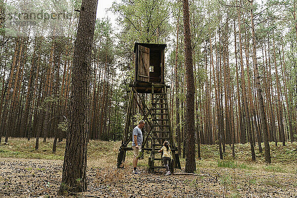 Mädchen klettert auf die Leiter eines Jagdrollos im Wald