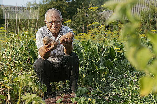 Lächelnder Bauer zeigt Kartoffeln  die an einem sonnigen Tag im Hinterhof hocken