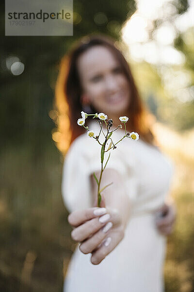 Frau hält kleine weiße Blumen