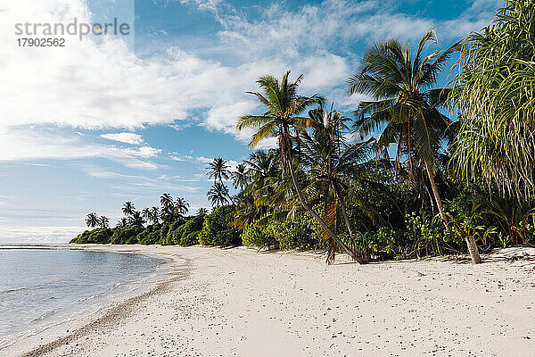 Malediven  Kolhumadulu Atoll  tropischer Strand der Insel Kanimeedhoo