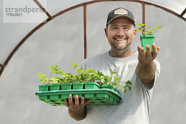 Happy farmer showing potted plant in greenhouse