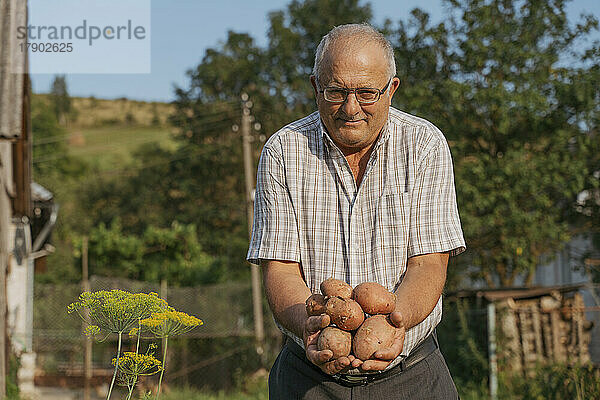 Älterer Bauer zeigt Kartoffeln  die an einem sonnigen Tag im Hinterhof stehen