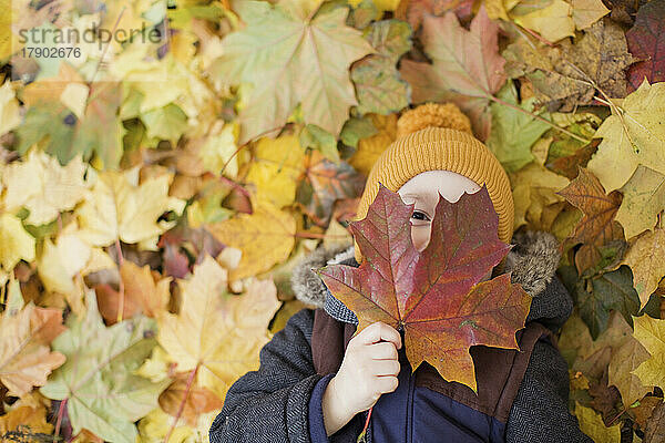 Junge bedeckt Gesicht mit Herbstblatt