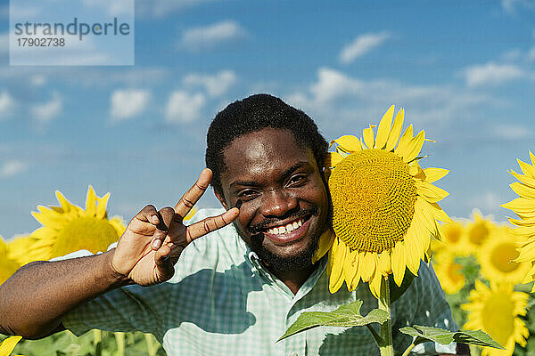 Glücklicher junger Mann gestikuliert Friedenszeichen neben Sonnenblumenpflanze