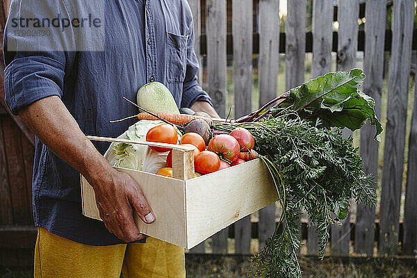 Mann hält Kiste voller frischem Gemüse
