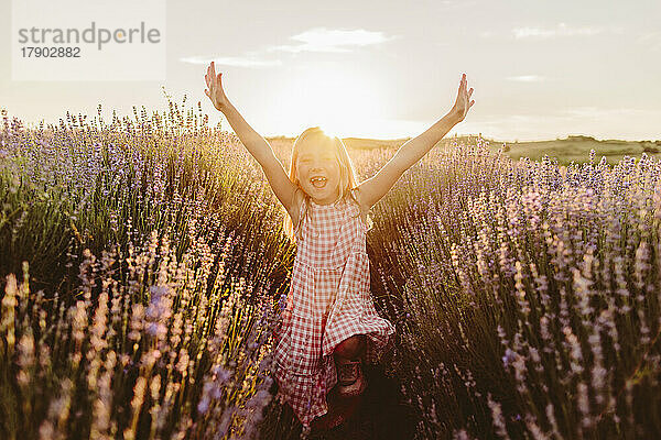 Fröhliches Mädchen mit erhobenen Armen genießt den Sonnenuntergang inmitten von Blumen im Lavendelfeld