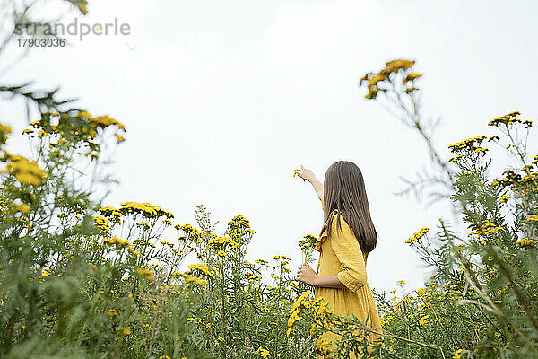 Girl pointing at sky standing in field