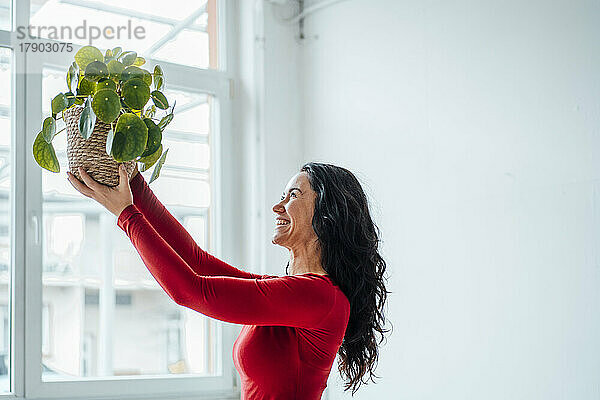 Fröhliche Frau hält Zimmerpflanze am Fenster