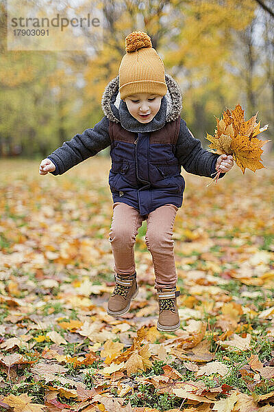 Verspielter Junge hält Herbstblätter und springt im Park