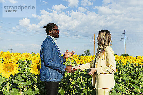 Glückliche Geschäftsfrau schüttelt Geschäftsmann im Sonnenblumenfeld die Hand