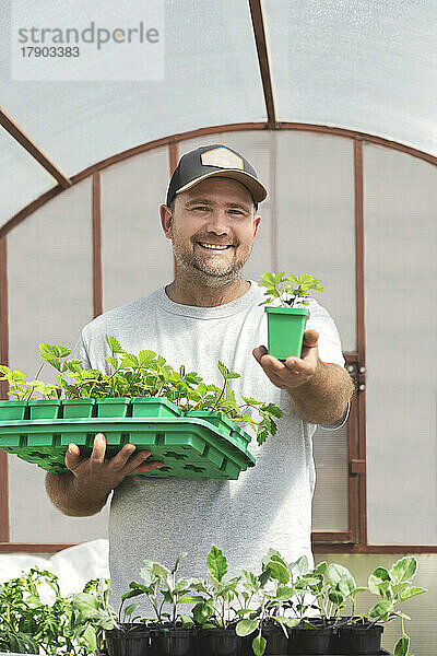 Smiling farmer showing potted plant in greenhouse