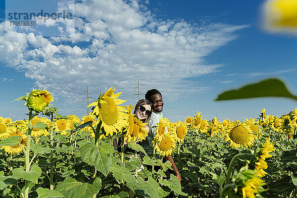 Lächelnde Frau und Freundin stehen an einem sonnigen Tag Rücken an Rücken im Sonnenblumenfeld