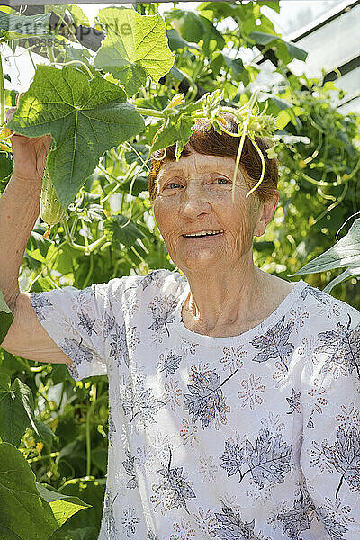 Glückliche ältere Frau mit Pflanzen im Gewächshaus