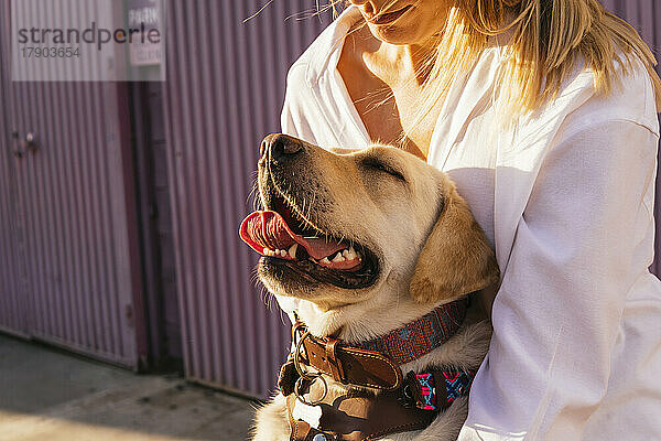 Frau umarmt Labrador Retriever von hinten