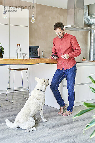 Mann benutzt Mobiltelefon und steht vor Hund