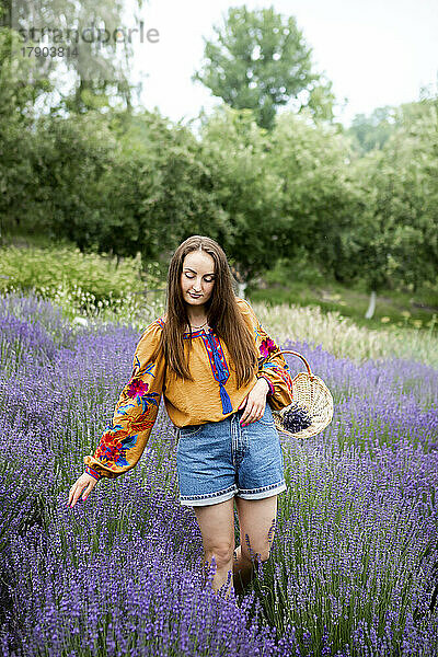 Frau mit langen Haaren berührt Lavendelpflanzen auf dem Feld