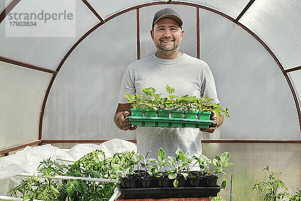 Happy farm worker holding potted plants in greenhouse