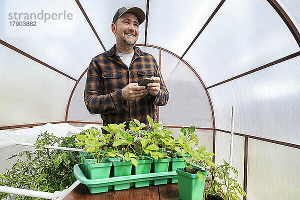 Happy farmer holding smart phone in greenhouse