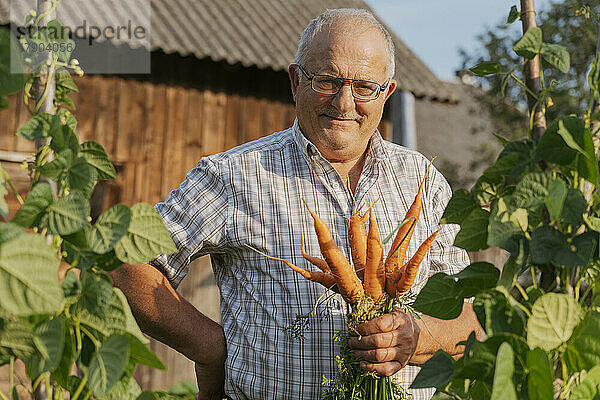 Lächelnder Mann mit Karotten  die an einem sonnigen Tag neben Pflanzen stehen
