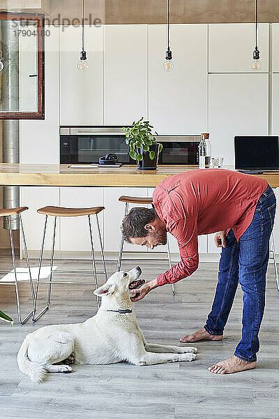 Mann streichelt Hund zu Hause