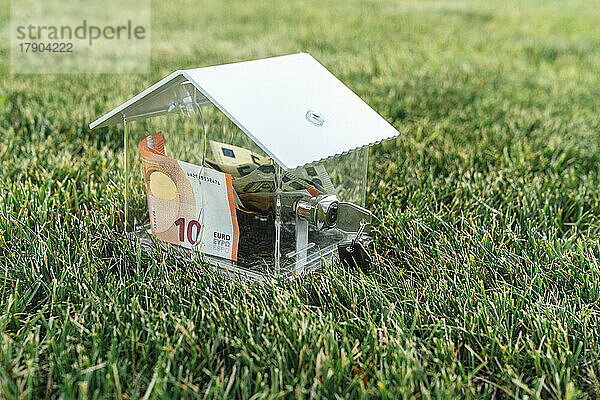 House shape piggy bank with money on grass