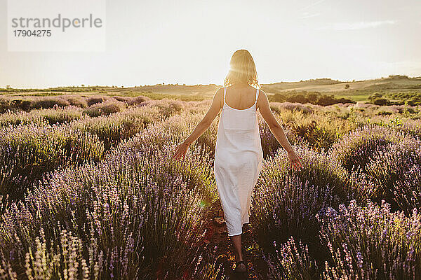 Frau berührt Lavendelblüten und geht bei Sonnenuntergang im Feld spazieren
