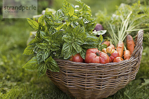 Basket of vegetables on grass