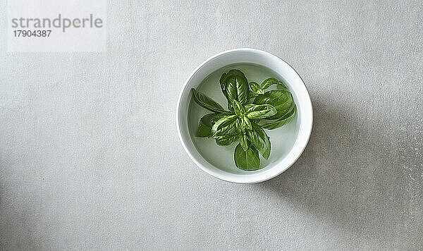 Basil (Ocimum basilicum) in small bowl filled with water