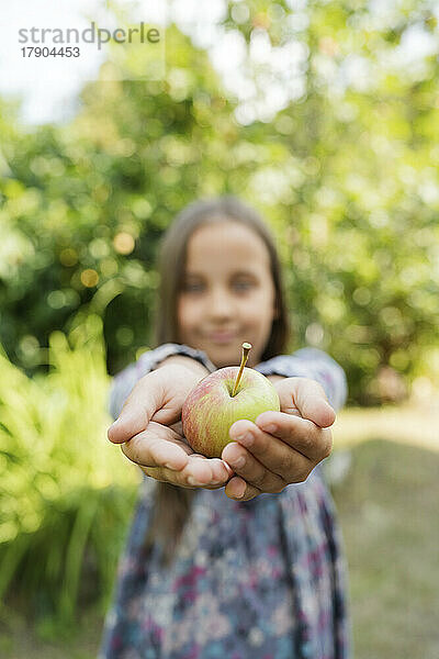 Mädchen mit gewölbten Händen hält frischen Apfel im Garten