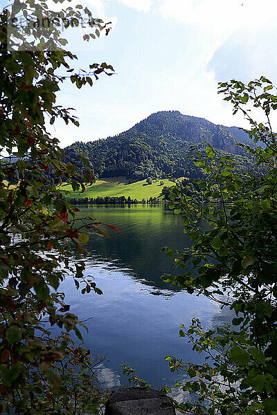 Deutschland  Bayern  Blick auf den Schliersee mit bewaldetem Hügel im Hintergrund