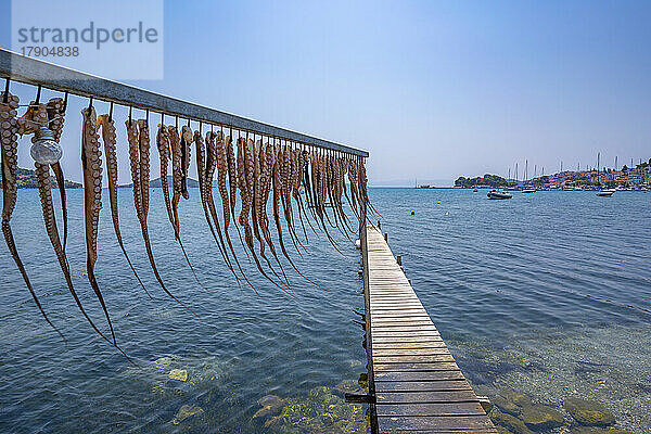 Blick auf Tintenfische  die in einem Restaurant in Skiathos-Stadt an einer Leine hängen  Insel Skiathos  Sporaden  Griechische Inseln  Griechenland  Europa