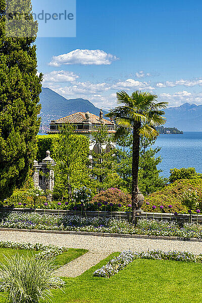 Die Gärten des Palazzo Borromeo  Isola Bella  Lago Maggiore  Bezirk Verbania  Piemont  Italienische Seen  Italien  Europa