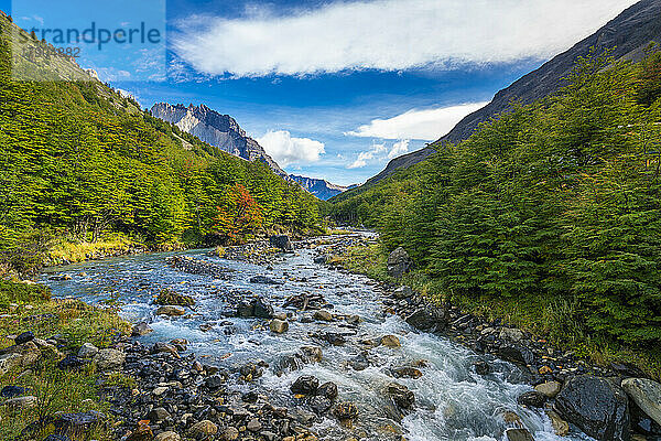 Rio del Frances  Valle Frances (Valle del Frances)  Nationalpark Torres del Paine  Patagonien  Chile  Südamerika