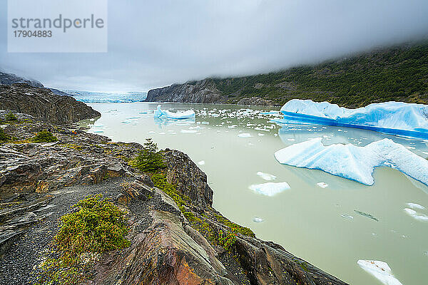 Lago Grey mit Eisbergen  Torres del Paine National Park  Patagonien  Chile  Südamerika