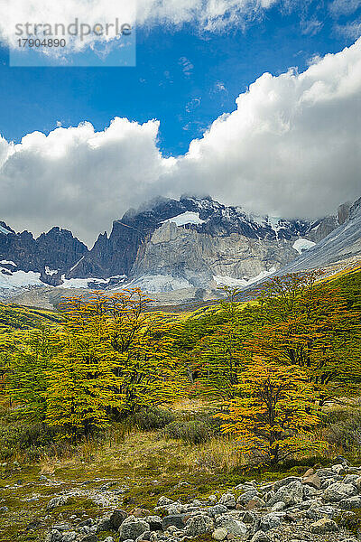 Berge um Valle Frances (Valle del Frances) im Herbst  Torres del Paine Nationalpark  Patagonien  Chile  Südamerika